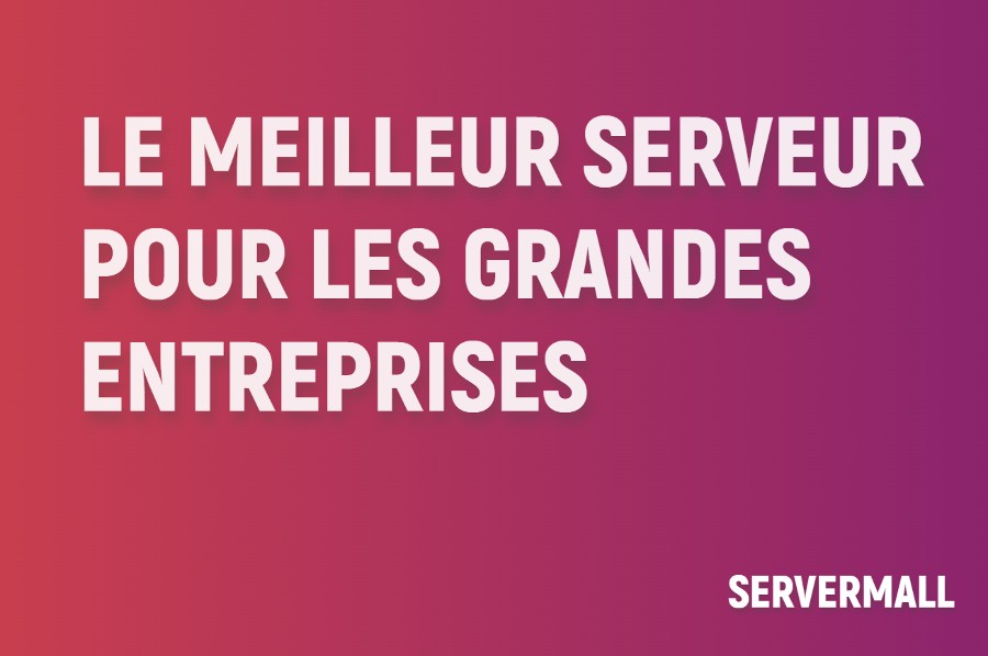 Meilleur serveur pour les grandes entreprises
